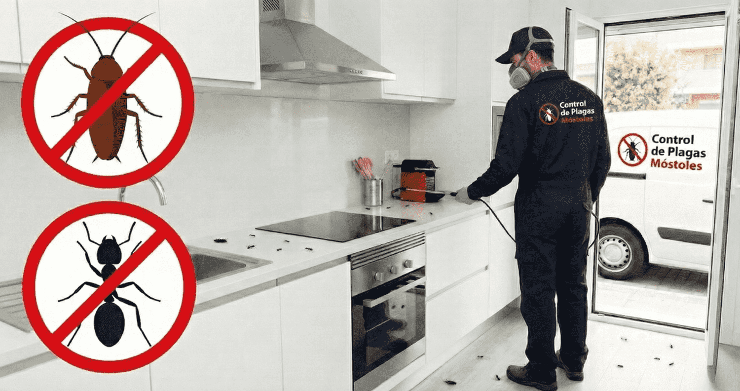 Tratamiento profesional para eliminar cucarachas y hormigas con gel insecticida en cocina de Móstoles.